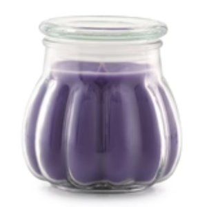 Beautiful Garden jar Candle NEW 17 oz Approx burn time 76 hours Celebrating Home